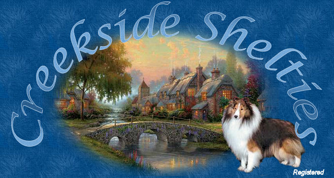 hartwyn shelties