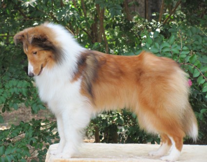 Skeeter.JPG (62881 bytes)