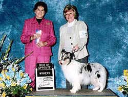 SparklesWina.jpg (37663 bytes)